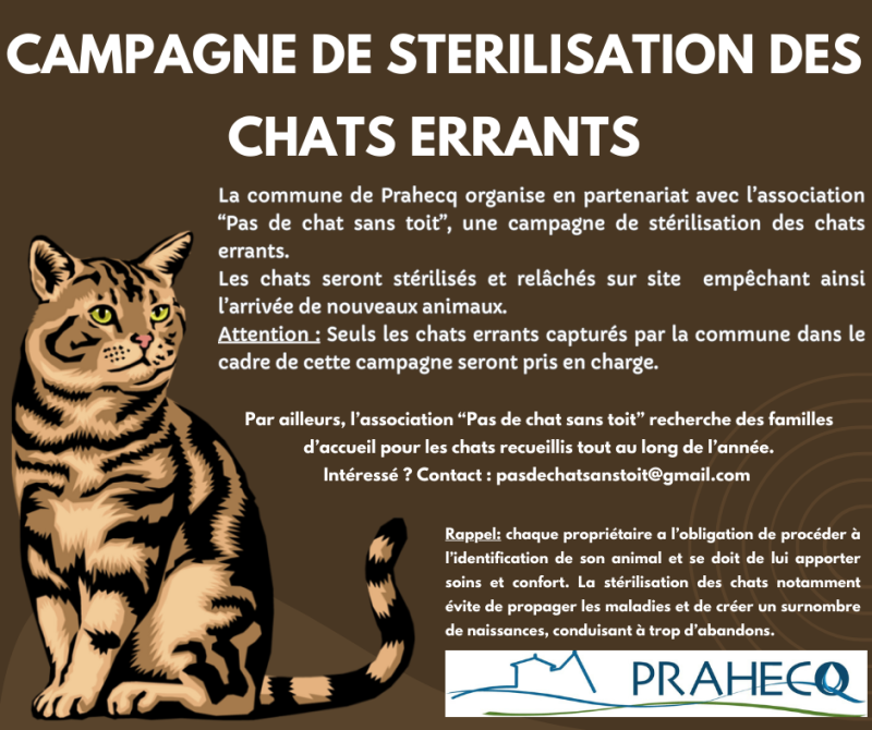 CAMPAGNE DE STERILISATION