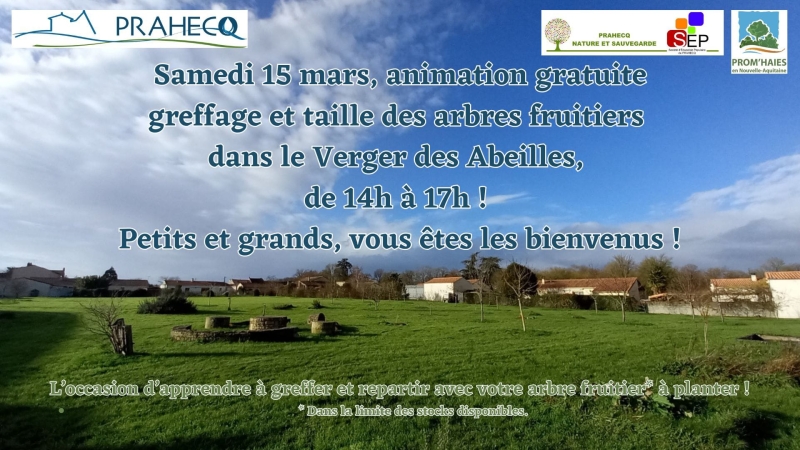 ANIMATION VERGER DES ABEILLES