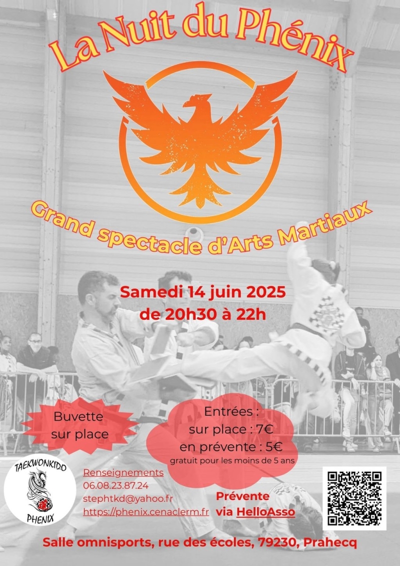 SPECTACLE ARTS MARTIAUX