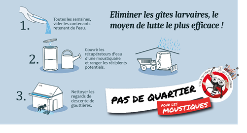 COUPEZ L'EAU AU MOUSTIQUE TIGRE