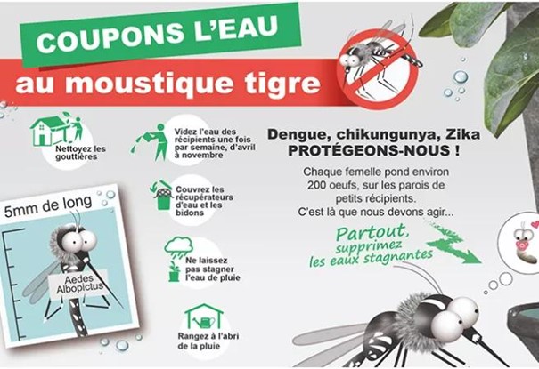 LUTTONS CONTRE LE MOUSTIQUE TIGRE